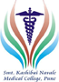 Smt. Kashibai Navale Medical College and General Hospital, Pune logo