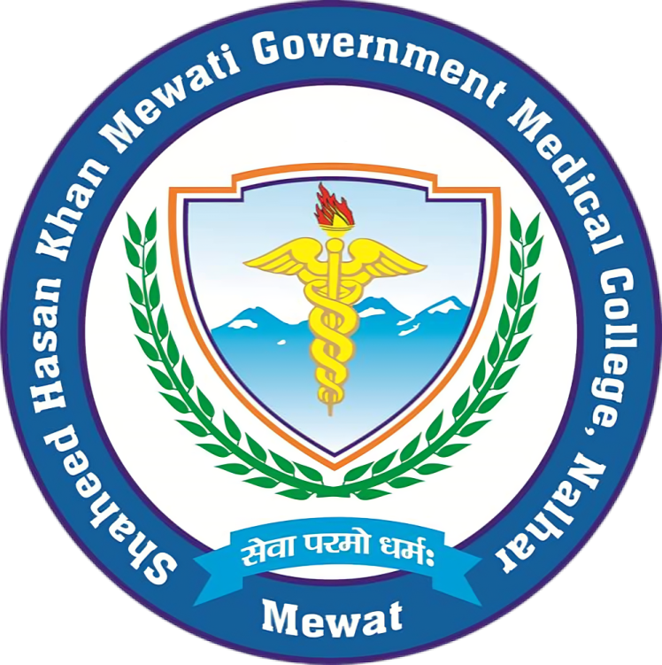 Shaheed Hasan Khan Mewati Government Medical College, Nalhar logo