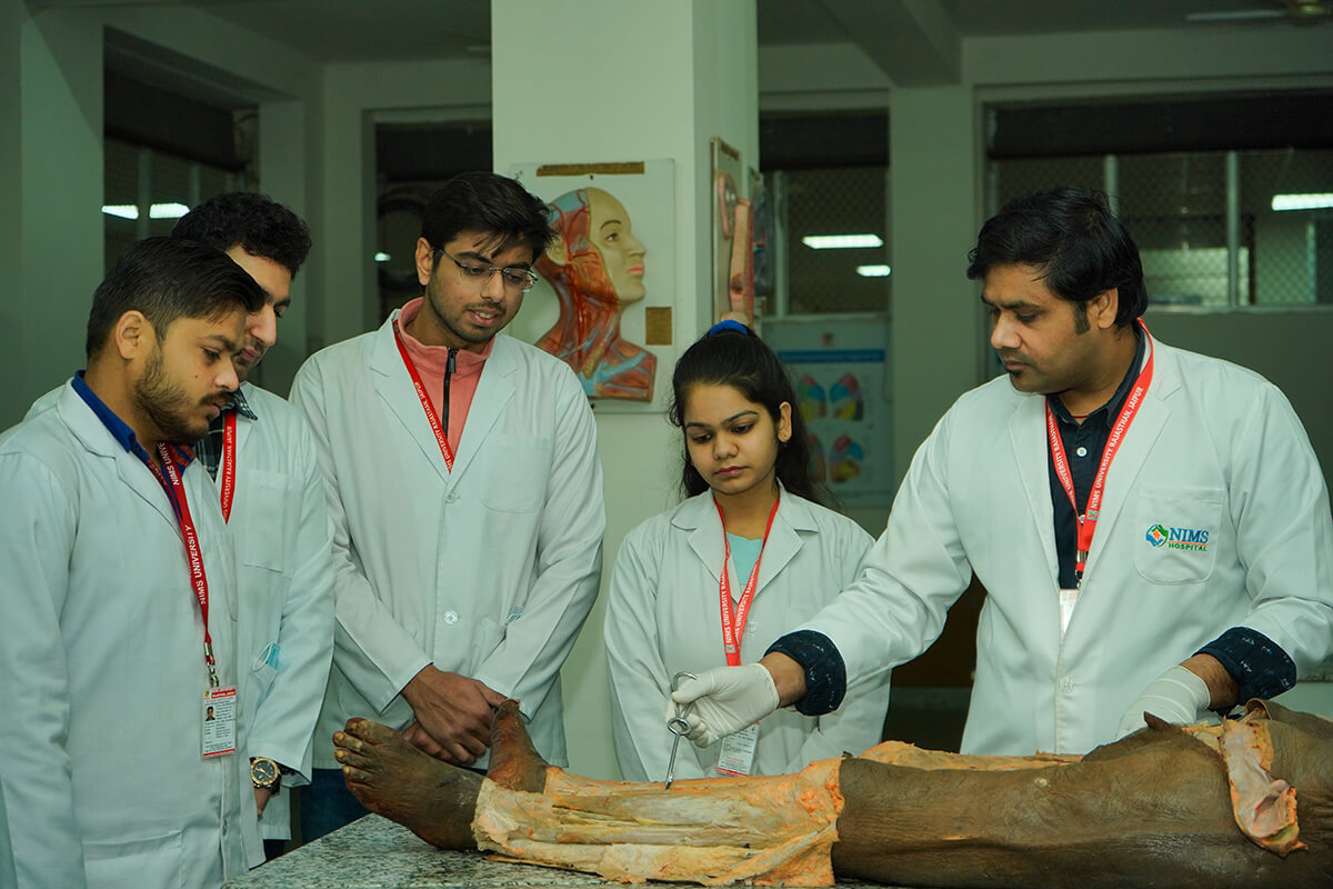 National Institute of Medical Science & Research, Jaipur campus