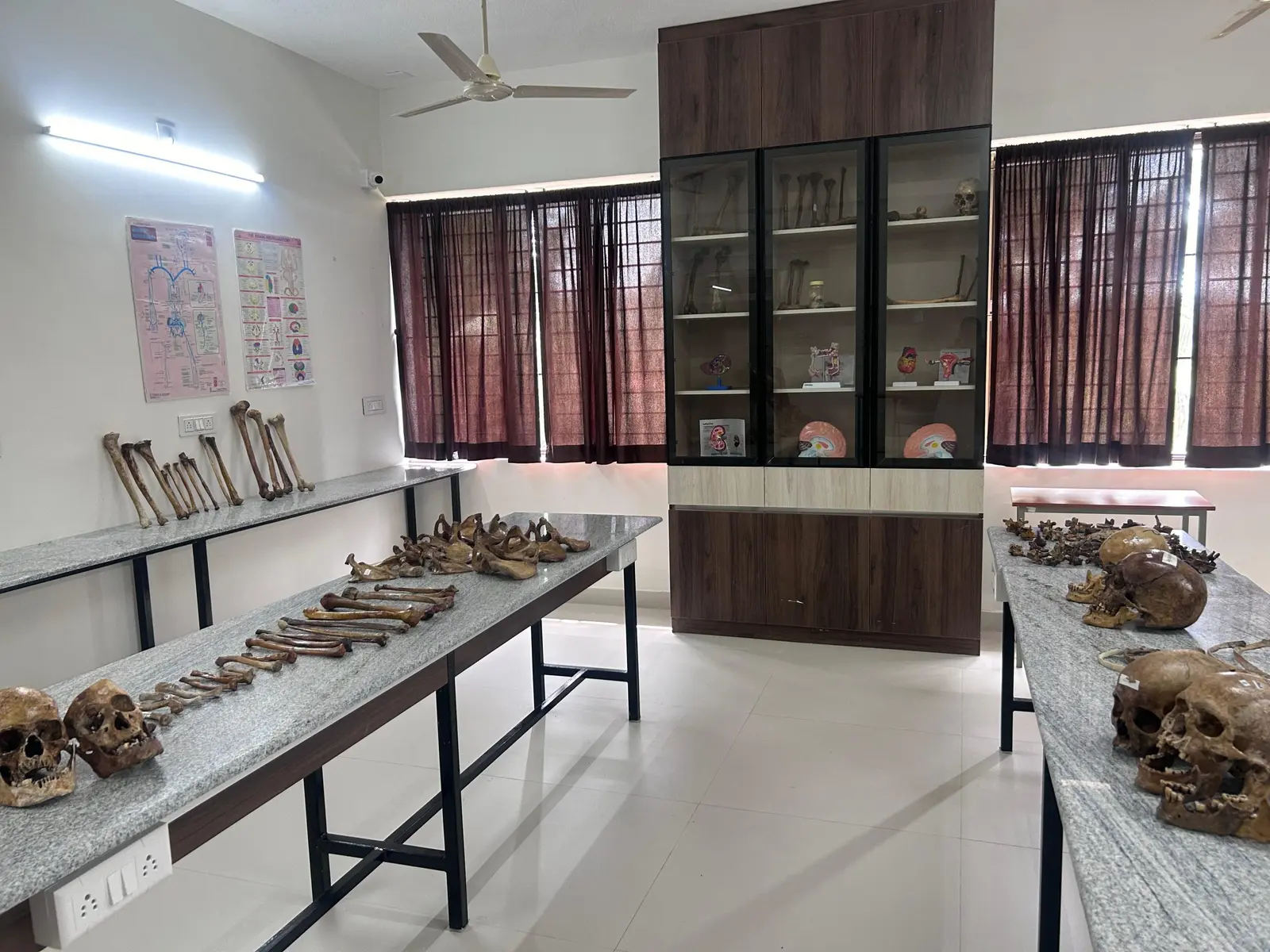 Anatomy teaching laboratory with skeletal specimens at Netra Jyothi Institute